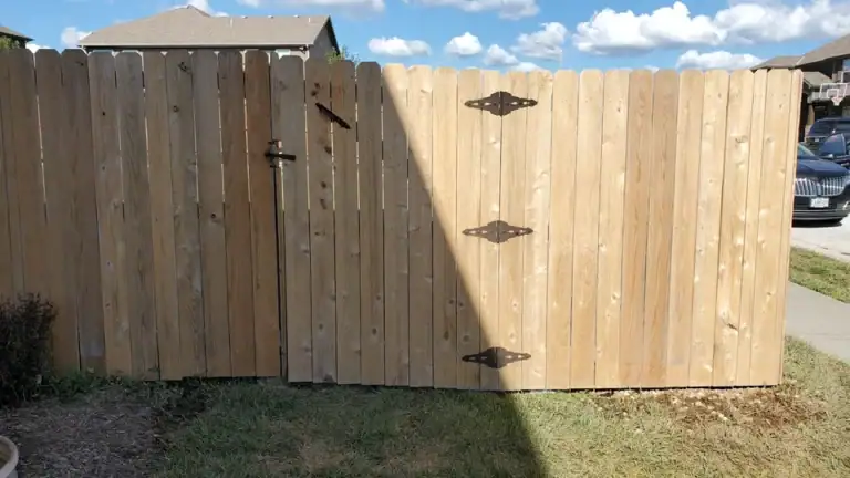 Wood fence after soft washing, restored to natural wood tone