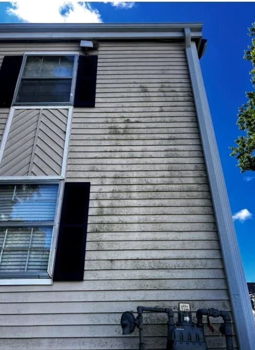 Apartment siding mold removal ks before