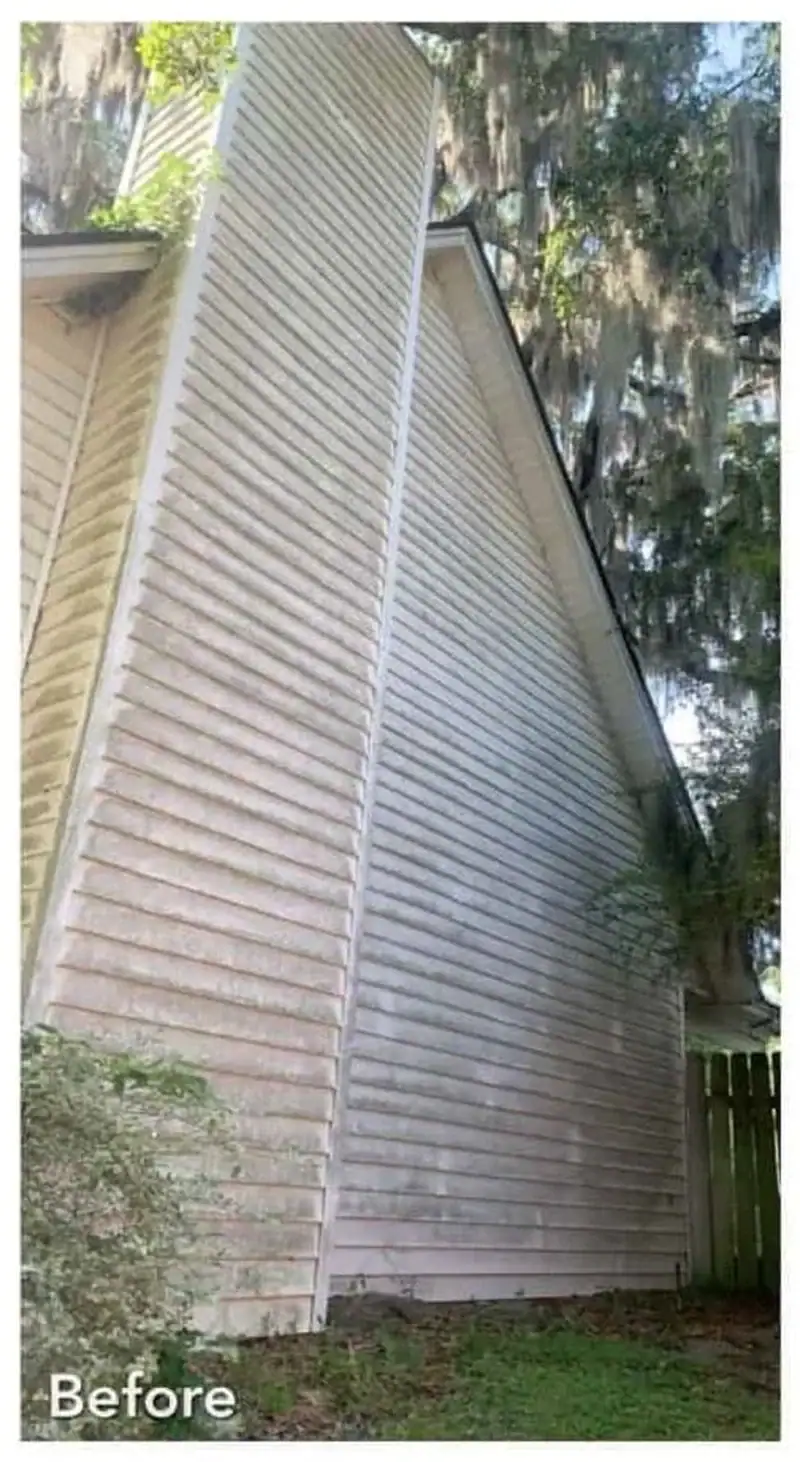 Vinyl siding cleaning algae removal weatherby lake before