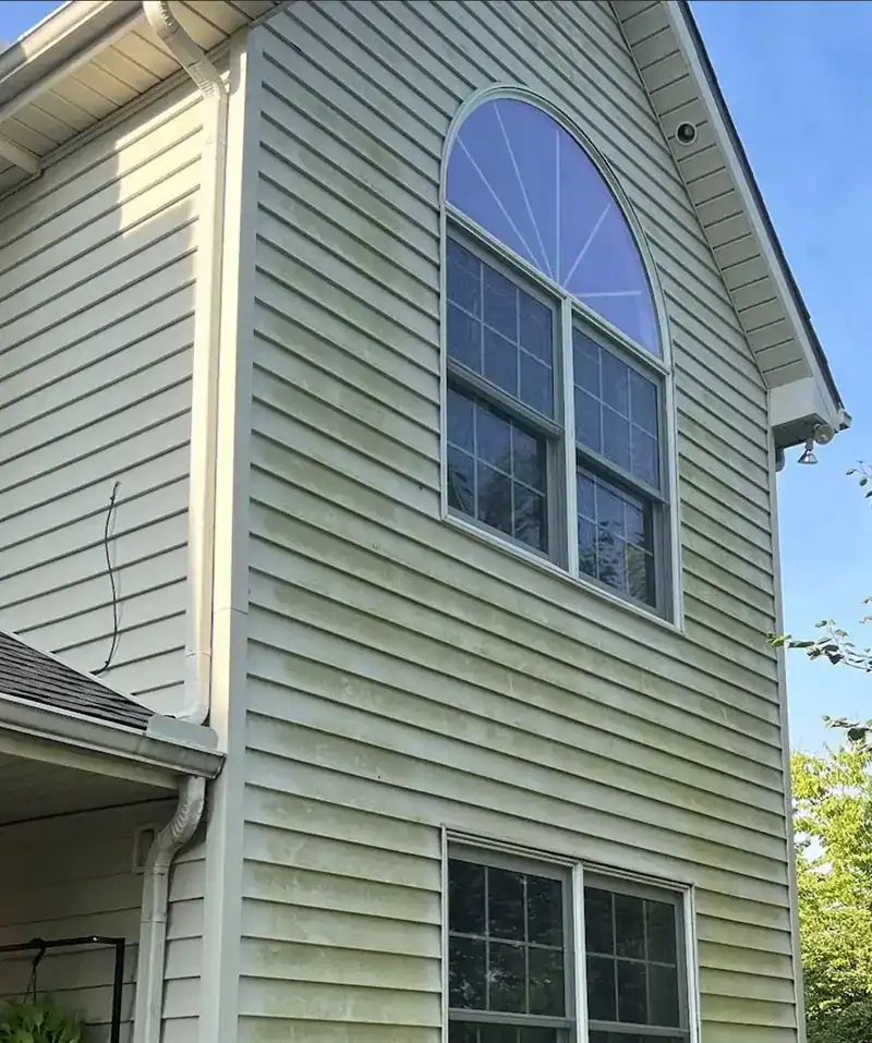 Algae-covered vinyl siding before a house wash in Kansas City
