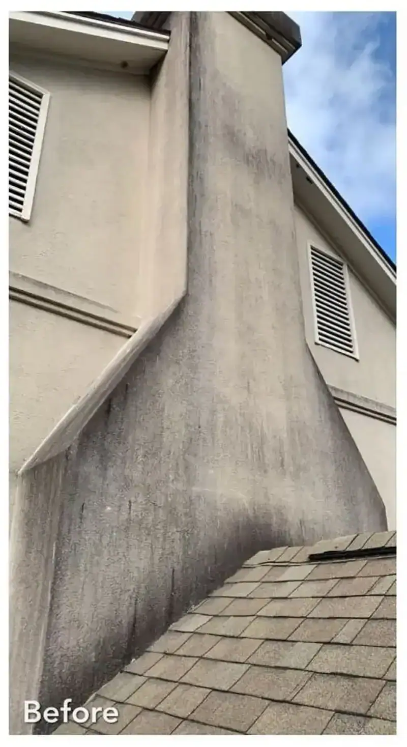 Heavy black mold on stucco before a soft wash in Parkville, Missouri